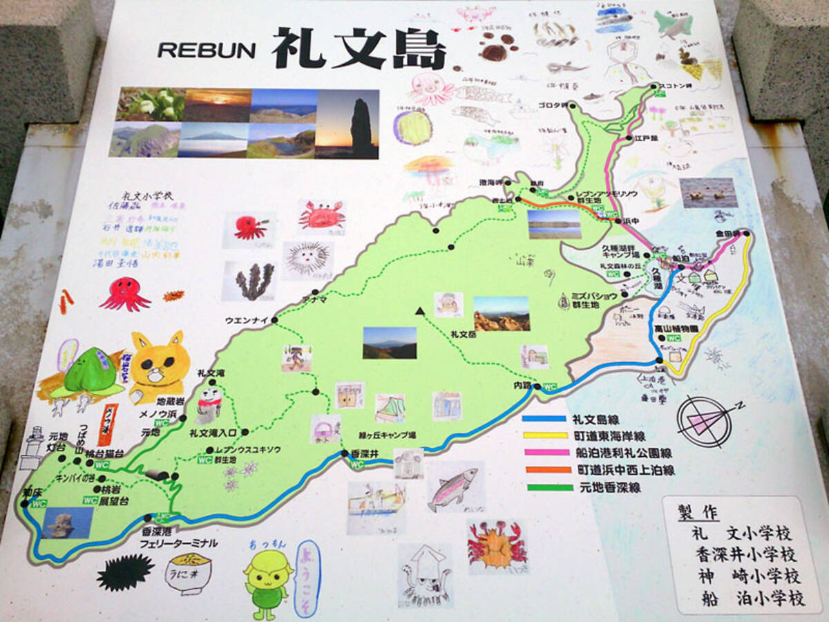 北海道 礼文島の見どころを結ぶドライブコース 南端 車中泊女子の全国縦断記 18年7月15日 エキサイトニュース