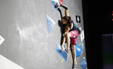 「お家芸で日本勢の優勝なるか？／クライミング世界選手権2019八王子 大会プレビュー【ボルダリング編】」の画像2