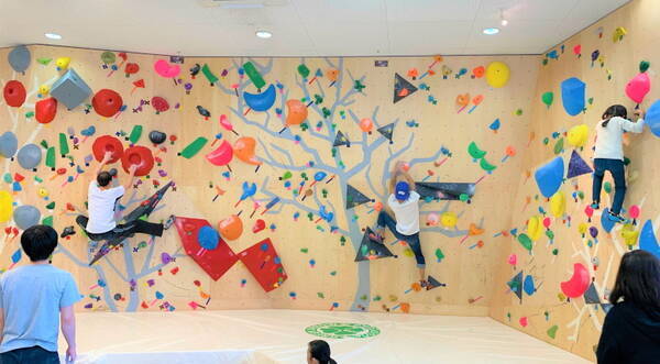 グリーンアローのボルダリングジム新店舗が ららぽーとtokyo Bay で4月下旬オープン 21年3月16日 エキサイトニュース