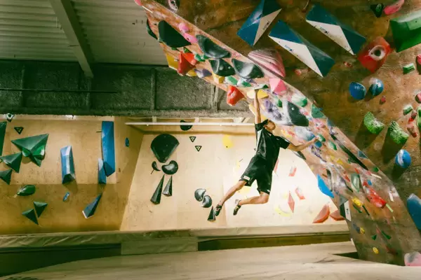 「楢崎明智　目の前の大会を頑張る」の画像