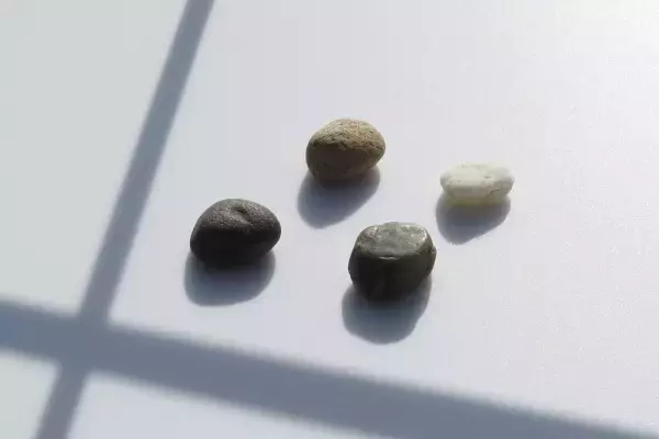 窓辺の小石 第252回 緊急指令 40-04