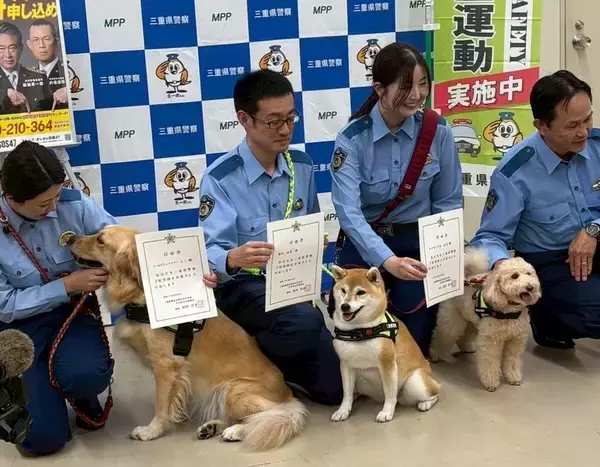 【話題】可愛すぎる警察犬トリオ! 柴犬・ゴールデンレトリバー・トイプードルが三重県警で活躍中 - 癒しパワーを生かした任務とは?
