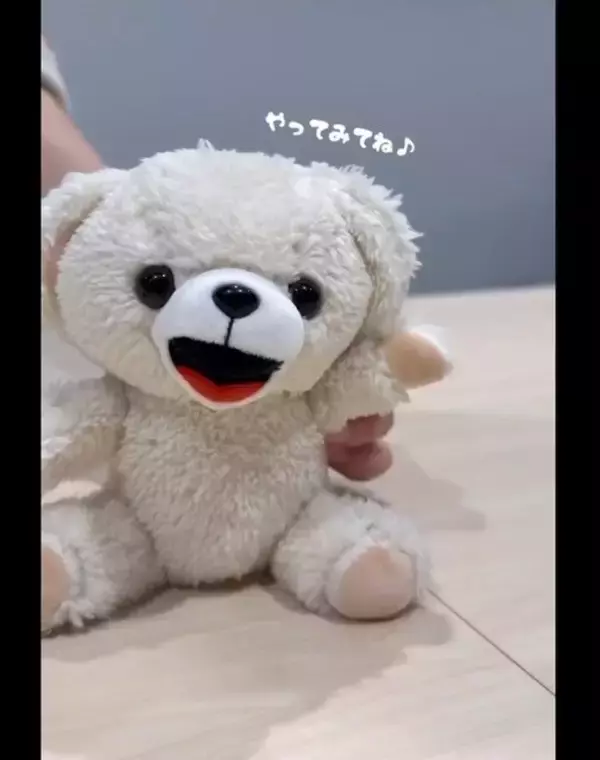 【ぬい活】大事なぬいぐるみを優しく洗ってキレイに - 洗われるファーファもかわいい動画が話題