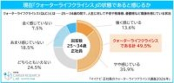 「クォーターライフクライシス」とは? - 25～34歳正社員の約半数が経験、最多の悩みは「十分に稼げていない」