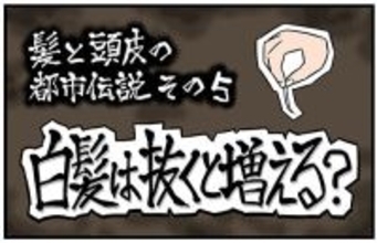 【漫画】髪と頭皮の都市伝説 第5回 【漫画】白髪は抜くと増える?