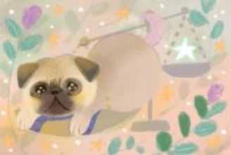 【2025年12月19日の運勢】12星座占いランキング(総合運・恋愛運・金運・仕事運・健康運)