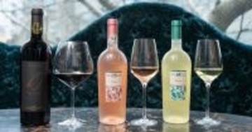 「馬」が象徴する100年の旅路──午年2026年に飲みたい、イタリア・アブルッツォの注目ワイナリー