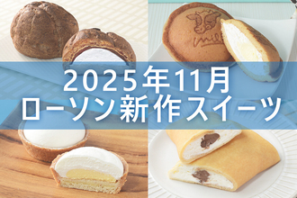 【11月25日発売! 】ローソン「今月の新商品スイーツ」5商品まとめてご紹介!