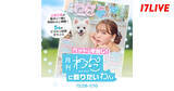 「17LIVE、『月刊わんこ』との初コラボレーションイベントを開催」の画像1