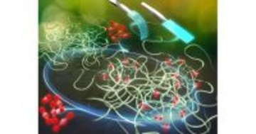 CO2の吸収でゴムがアクリル樹脂並みの硬度に！ - 岐阜大など4者が開発