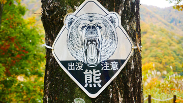 小学館・大辞泉が選ぶ新語大賞 2025は「緊急銃猟」 - どんな意味?