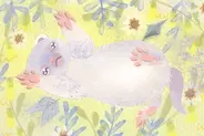 【2026年6月6日の運勢】12星座占いランキング(総合運・恋愛運・金運・仕事運・健康運)