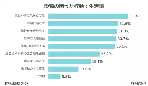 愛猫の"困った行動"ランキング!飼い主が思わずツッコむ日常とは?