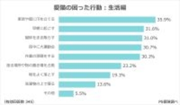 愛猫の"困った行動"ランキング!飼い主が思わずツッコむ日常とは?
