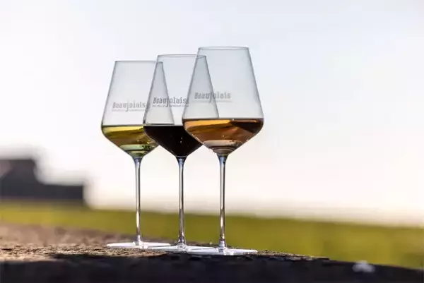 【ボジョレーヌーボー2025】11月20日解禁! 今年のブドウの状況と仕上がりは?