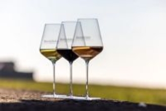 【ボジョレーヌーボー2025】11月20日解禁! 今年のブドウの状況と仕上がりは?