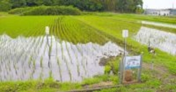 通信のIIJが千葉県白井市に農場を持つ理由とは - スマート農業実証実験の説明会を開催