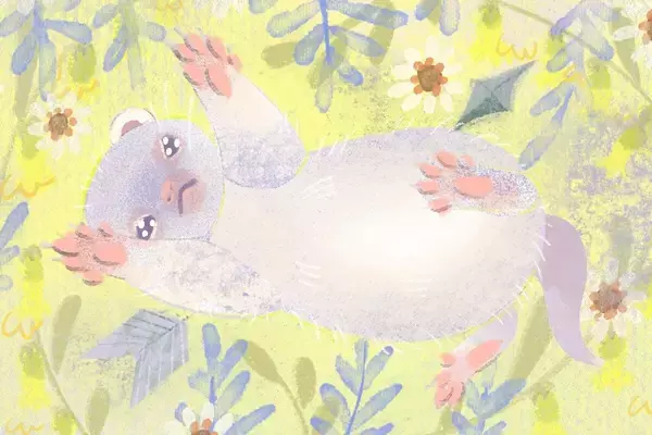 【2026年2月15日の運勢】12星座占いランキング(総合運・恋愛運・金運・仕事運・健康運)