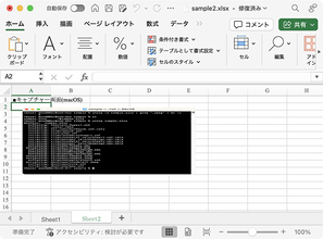 なんとなくコマンド 第124回 エクセルファイル内にある画像を抜き出す