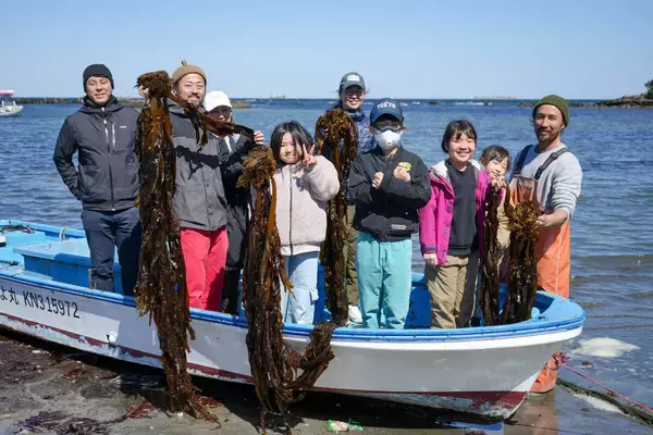 横須賀・走水でわかめ収穫体験 - NTT東日本が支える「海とミライのがっこう」が目指す学び