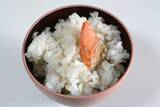 「ひとかけらでごはん山盛りいける!? 秋田県名物「ぼだっこ」ってそんなに塩辛いのか食べてみた」の画像1