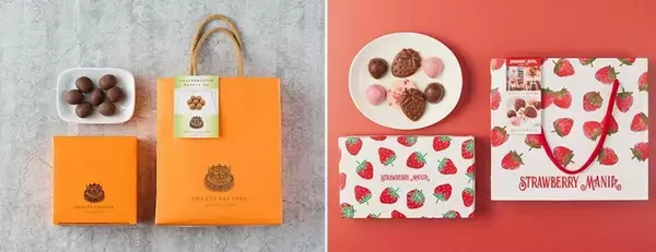 ローソン、「自由が丘スイーツファクトリー」「ストロベリーマニア」監修のショコラ5品を発売