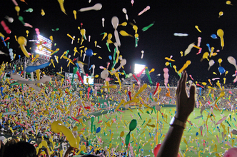 2年ぶり阪神優勝と日経平均の関係!? 恩恵を受けそうな国内株式ファンド