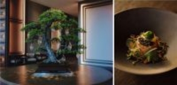 ジャヌ東京、盆栽アーティスト「TRADMAN’S BONSAI」とコラボ - 史上初クリスマスツリーの盆栽や、盆栽からインスパイアされたディナー登場