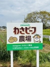 【知ってた?】「わさビーフ」が茨城県のじゃがいも畑に看板を設置、夏の収穫に向けて今年も始動 -「なにこの夢みたいな畑」「わさビーフの聖地巡礼地か…」と話題