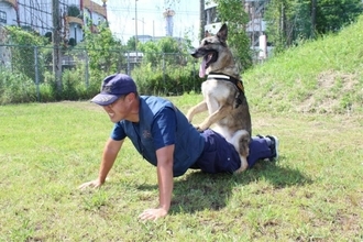 【5.6万いいね】鬼教官は警察犬!? 鑑識課員との絆が光る一枚に「めっちゃほっこりする」「最高のバディだぜ」の声