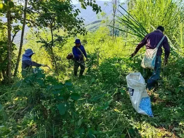 「COSMOエコ基金」が2025年11月の活動報告を実施 - 気候変動対応や生態系を守る活動を支援