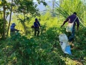 「COSMOエコ基金」が2025年11月の活動報告を実施 - 気候変動対応や生態系を守る活動を支援