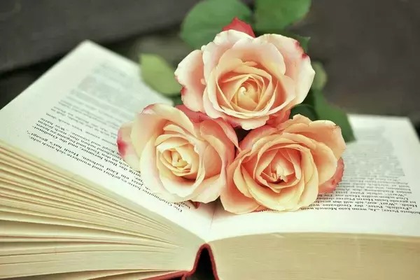 4月23日「サン・ジョルディの日」を知ってる? 花と本を贈り合うロマンチックなお祭り
