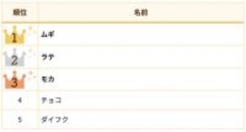 うさぎの名前ランキング、王者「モカ」を抑えて初の1位に輝いたのは?