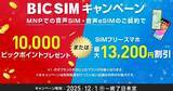 「BIC SIM、ビックカメラ店頭で端末値引きか1万ポイント還元を選べる施策」の画像1