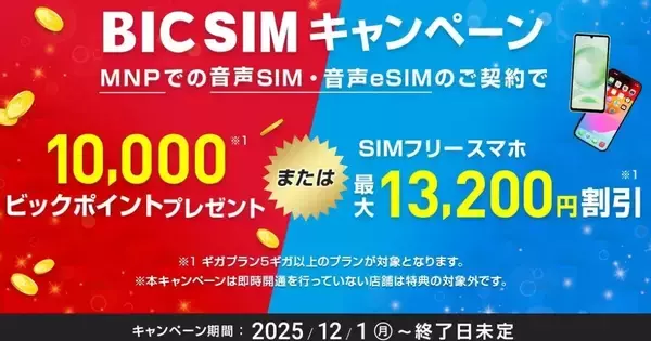 BIC SIM、ビックカメラ店頭で端末値引きか1万ポイント還元を選べる施策