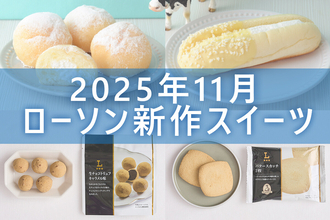 【11月11日更新!】ローソン「今月の新商品スイーツ」5商品まとめてご紹介!