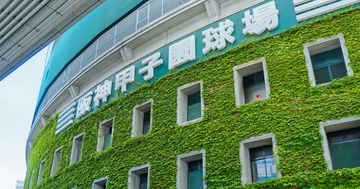 甲子園出場で「選手タオル200枚に20万円」――毎年夏に生まれる“応援特需”の正体