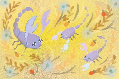 【2025年11月24日の運勢】12星座占いランキング(総合運・恋愛運・金運・仕事運・健康運)