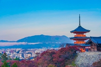 “人気観光地”の近くもランクイン、「地価上昇率」が高い京都府の住宅地