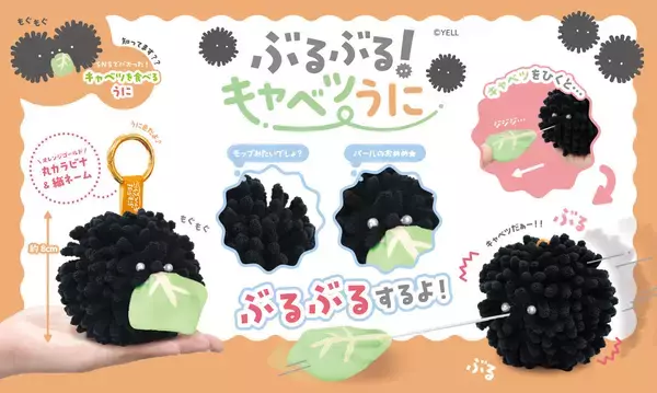 【話題】噂の「キャベツウニ」がクレーンゲームに登場! -「可愛過ぎませんか!?!?!?」「キャベツウニが常に見られるのか!! 尊いぞ尊いぞキャベツウニ!! !!」と話題