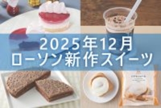 【12月16日発売! 】ローソン「今月の新商品スイーツ」5商品まとめてご紹介!