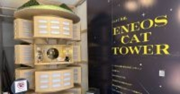 ENEOSでんきが突如開催した猫専用タワーマンションの“にゃい覧会”、その狙いは！？