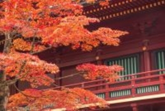 年末年始の国内旅行、どこが“穴場”でいつが“狙い目”? 人気の旅行先ランキングと混雑予測