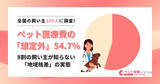 「8割が知らない「ペット医療費」の落とし穴、地域差や高額請求のケースも」の画像1