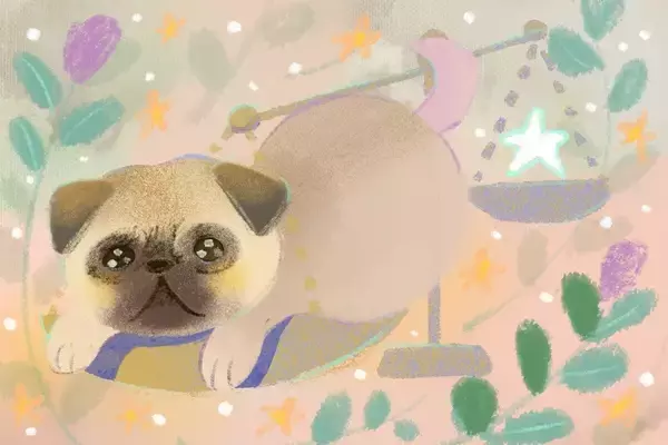 【2025年11月26日の運勢】12星座占いランキング(総合運・恋愛運・金運・仕事運・健康運)