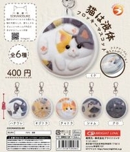 "猫は液体"だから…クリアケースで持ち運べちゃう!? 人気フェルト作家監修のマスコット、カプセルトイに登場! -「待ってかわいいww」「キジトラがある…!!!!最高だ」の声