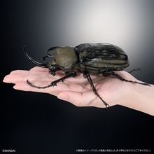 シリーズ最大、エレファスゾウカブトが登場!「いきもの大図鑑アドバンス カブトムシ04」ガシャポンオンライン限定で発売