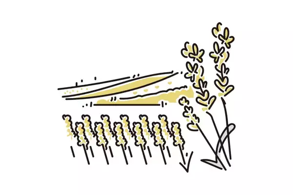 地方の生活コストは本当に安いのか? - FPが地方に移り住んで感じたこと 第179回 東京脱出 - 変わるコスト、手に入る心地よさ