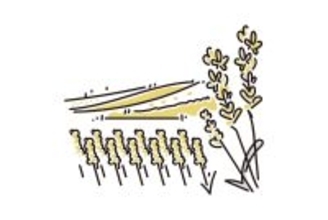 地方の生活コストは本当に安いのか? - FPが地方に移り住んで感じたこと 第179回 東京脱出 - 変わるコスト、手に入る心地よさ